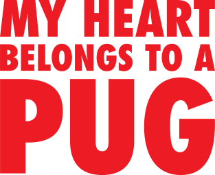 My Heart Belongs To A Pug Magnet