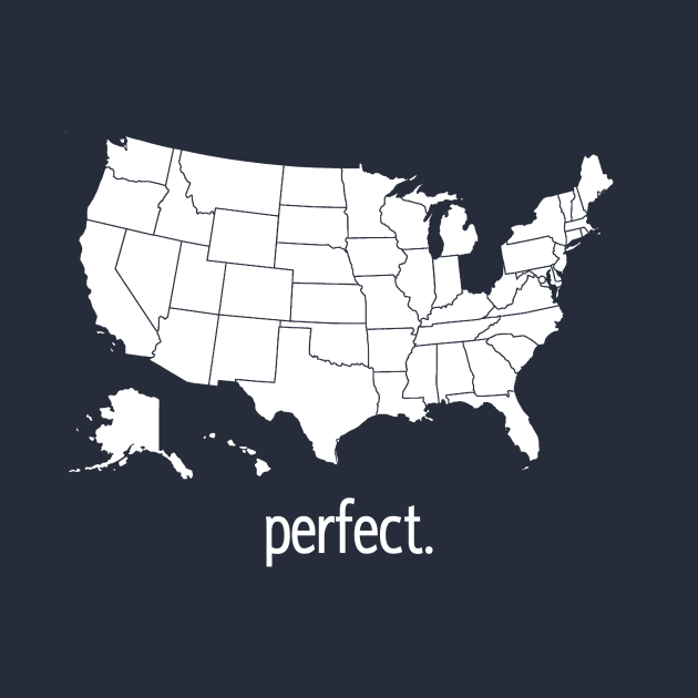 Perfect America by DTees1