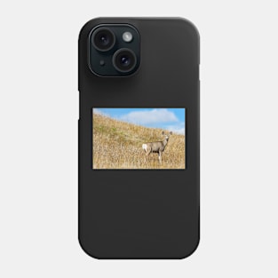 Deer Looking Down From Hill Phone Case