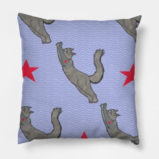 Bucky Cat Pillow