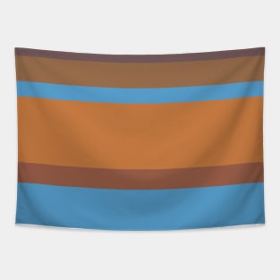 An unexampled package of Carolina Blue, Dirt, Dark Taupe, Earth and Dull Orange stripes. Tapestry