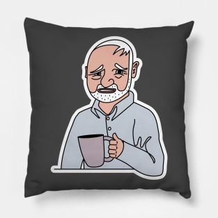 Hide the Pain Harold Pillow