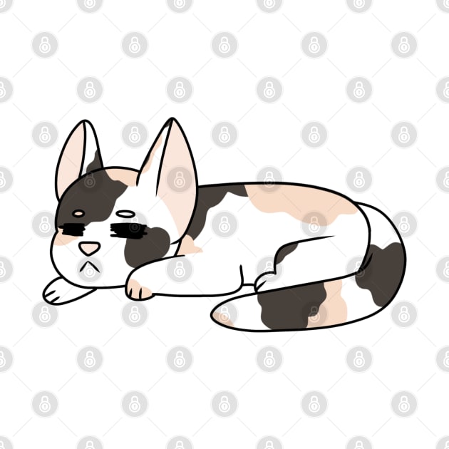 Sleeping Calico Kitten by WhiteRabbitWeirdo