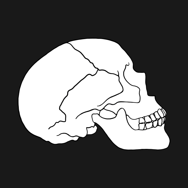 Skull Bone by murialbezanson