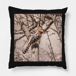 Red and Yellow Barbet Pillow