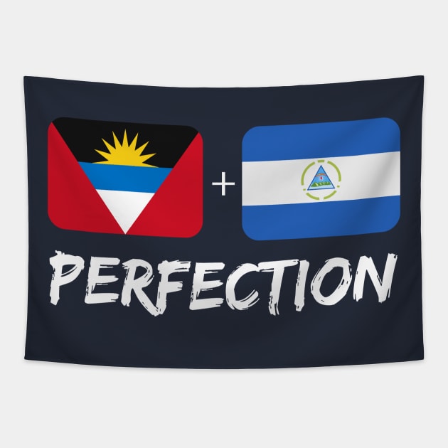 Antigua Plus Nicaragua Mix Perfection Flag Heritage Tapestry by Just Rep It!!