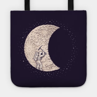 Lunar Excavation Tote