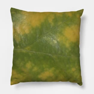 Autumn Yellow-Green Oak Leaf Print Pillow