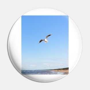 White seagull flying above the seacoast Pin