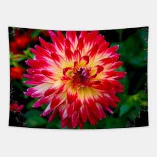 Rainbow Dahlia Tapestry