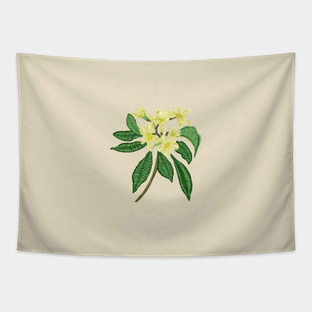 Frangipani Botanical Tapestry by Salfiart