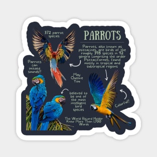 Animal Facts - Parrot Magnet