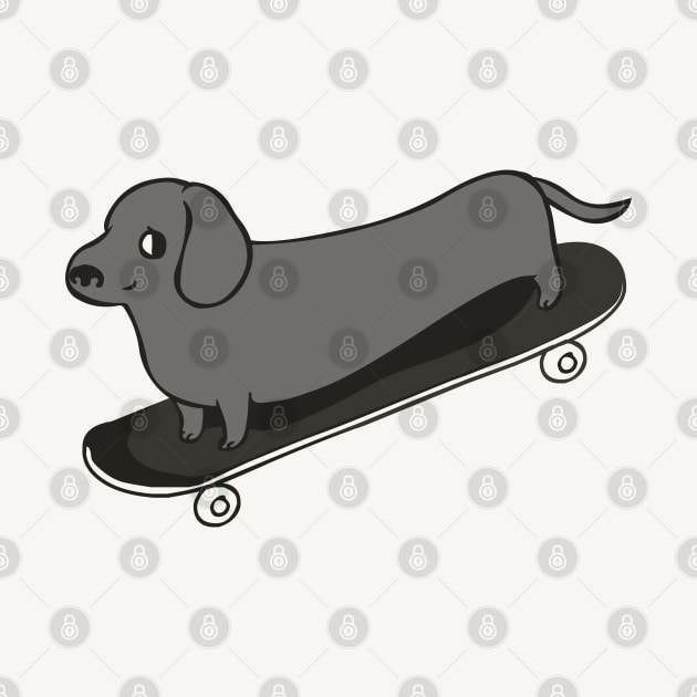 Skateboarding Dachshund by huebucket