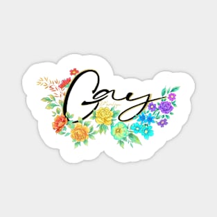 gay pride - white bg Magnet