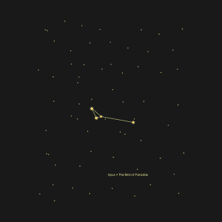 Apus Constellation. Gold T-Shirt