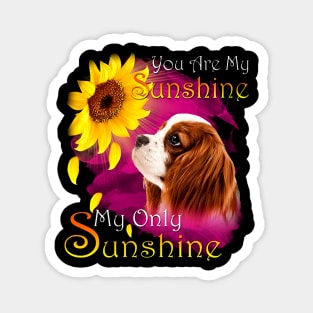 Cavalier King Charles Spaniel You Are My Sunshine Magnet