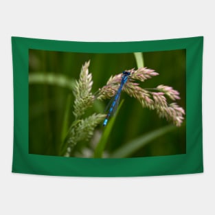 Common Blue Damselfly Tapestry