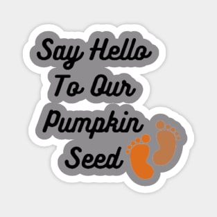 Pumpkin seed Magnet