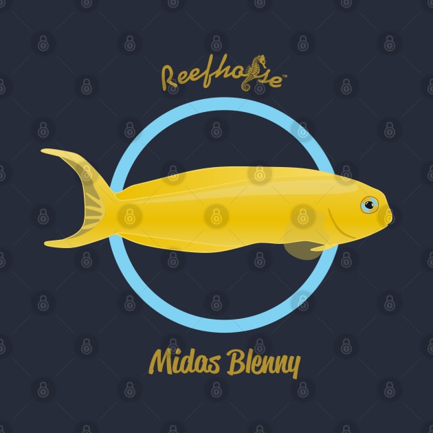 Midas Blenny by Reefhorse