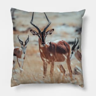 African Impalas Pillow