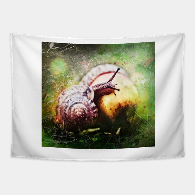 Snail Tapestry by TortillaChief