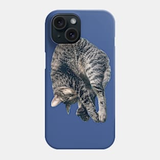 Sleeping Tabby Phone Case