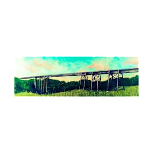 Abstract Bridge in Nature. T-Shirt