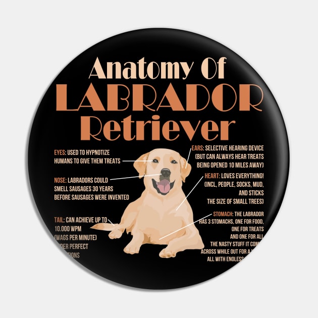 Cute and Funny Anatomy of a Labrador Retriever Pin by EdifyEra