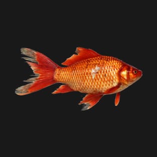 Aquarium Goldfish T-Shirt