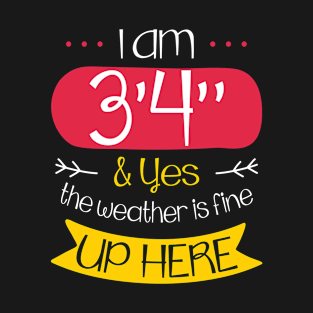 I Am 3'4" and Yes the Weather is Fine Up Here Meme Saying T-Shirt