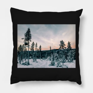 Fir Tree Forest in Warm Evening Light on Cold Winter Day (Norway Pillow