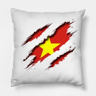 Vietnam Shredding Pillow