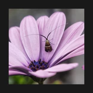 insect violet flower T-Shirt