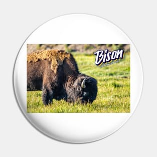 Bison at Yellowstone Pin