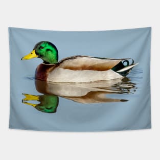 Mallard Reflections Tapestry