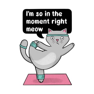 Yoga Cat - In the Moment T-Shirt