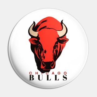 Chicago Buuuulls 03 Pin