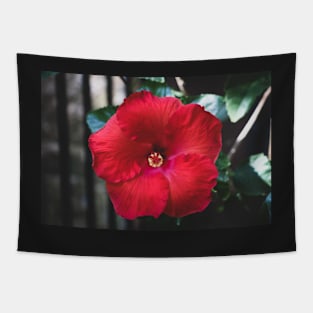 Hibiscus 3 Tapestry