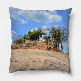 Oasis / Swiss Artwork Photography Pillow