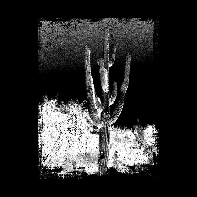 Cactus by TheAllGoodCompany