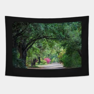 Tropical Zone Pathway Tapestry