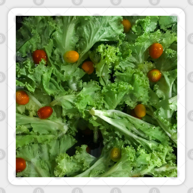 Lettuce And Cherry Tomato Salad Greens Salad Magnet Teepublic