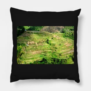 Rizières en terrasses Banaue, Philippines Pillow