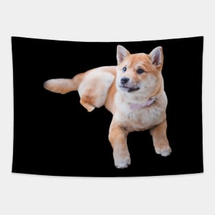 Brown Puppy Tapestry