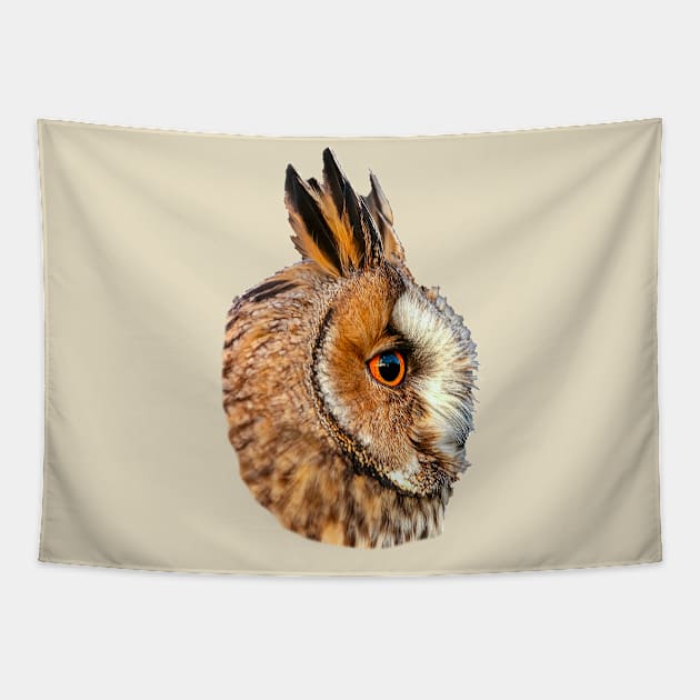 Long Eared Owl Tapestry by dalyndigaital2@gmail.com