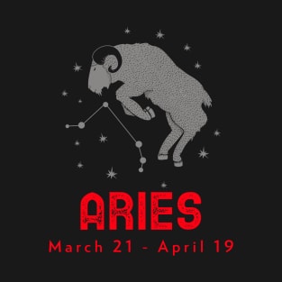 Aries T-Shirt