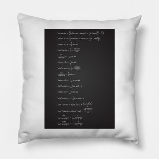 Indefinite Integral Pillow