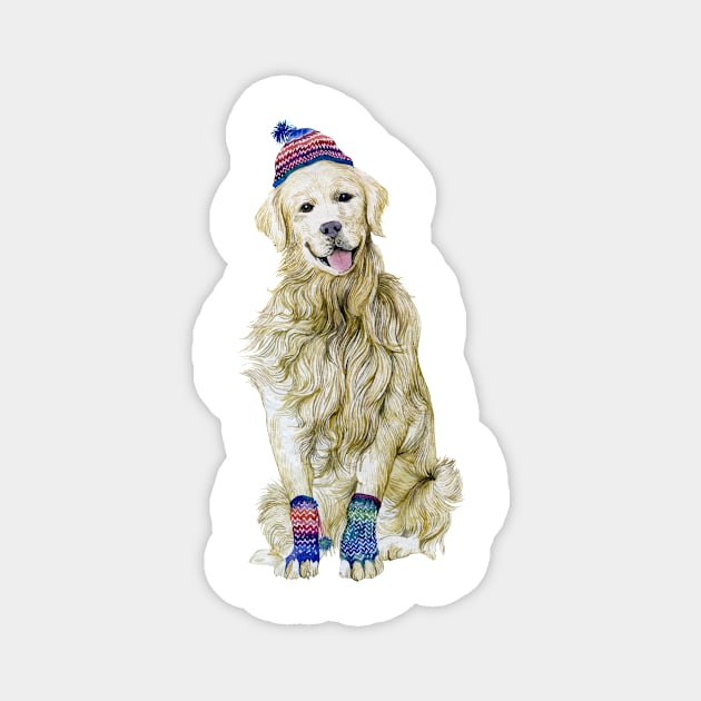 Golden Retriever wearing winter outfit Magnet by argiropulo