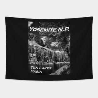 Ten Lakes Basin - Yosemite N.P. Tapestry