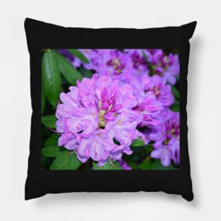 Rhododendron flower photo Pillow